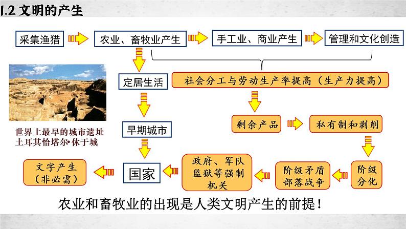 第1课 文明的产生与早期发展 课件第5页