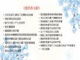 第1课 文明的产生与早期发展 课件