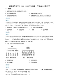 2023西宁北外附属新华联外国语高级中学高三上学期开学考试历史试题含解析