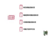 第11课 中国古代的民族关系与对外交往 课件