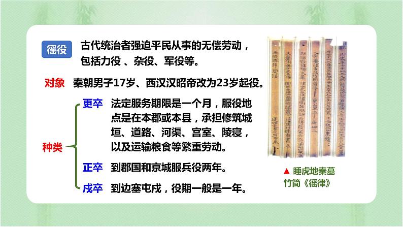 第16课 中国赋税制度的演变 课件第5页