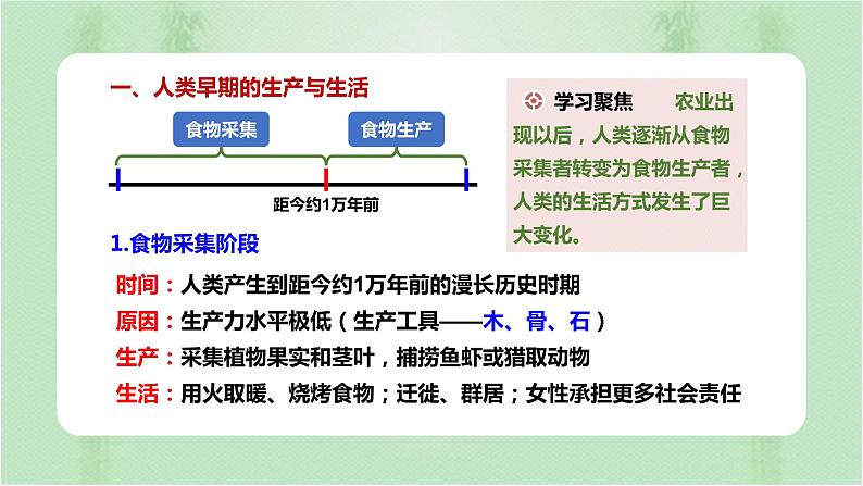 第1课  从食物采集到食物生产 课件03