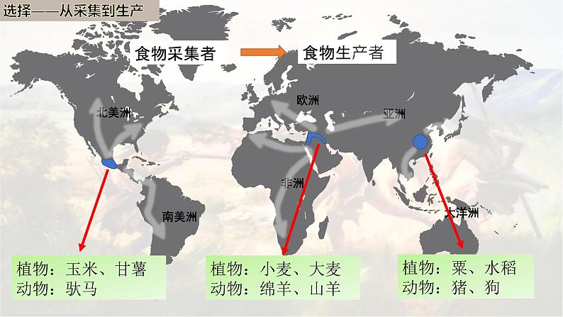 第1课 从食物采集到食物生产 课件05