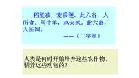 人教统编版选择性必修2 经济与社会生活第一单元 食物生产与社会生活第1课 从食物采集到食物生产课文课件ppt