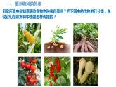 第2课 新航路开辟后的食物物种交流 课件