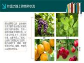 第2课 新航路开辟后的食物物种交流 课件