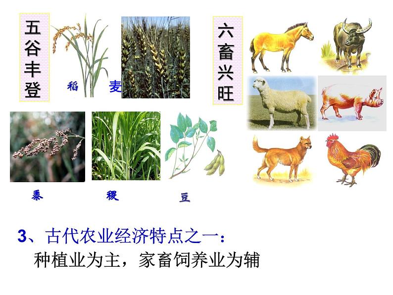 第4课 古代的生产工具与劳作 课件07