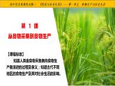 2022-2023学年统编版（2019）高中历史选择性必修2第1课 从食物采集到食物生产 课件