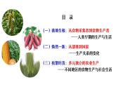 2022-2023学年统编版（2019）高中历史选择性必修2第1课 从食物采集到食物生产 课件