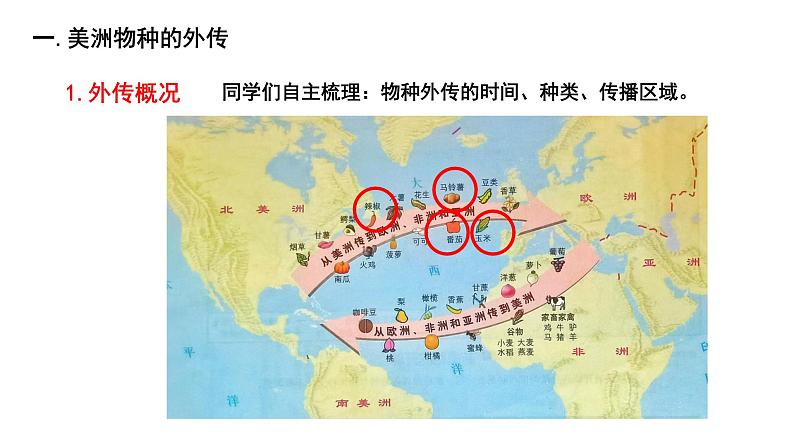 第2课 新航路开辟后的食物物种交流 课件03