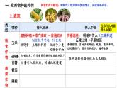 第2课 新航路开辟后的食物物种交流 课件