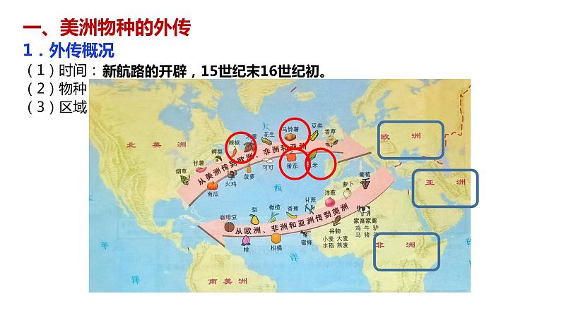 第2课 新航路开辟后的食物物种交流 课件05