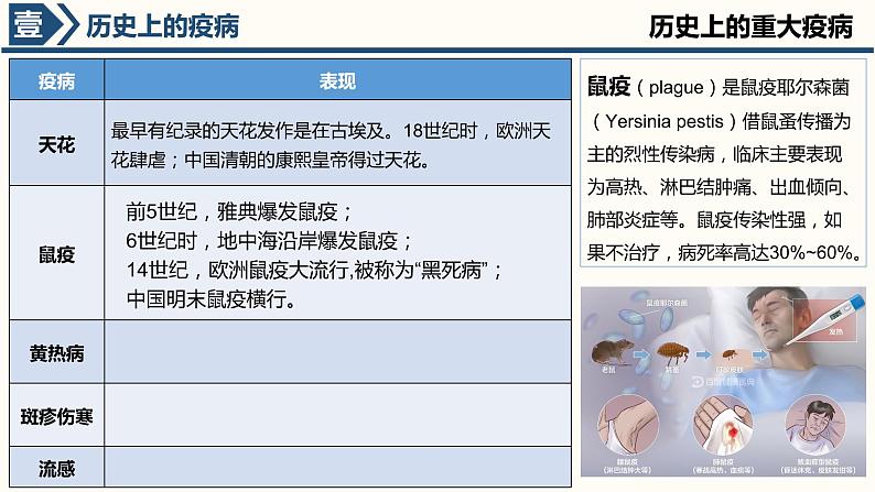 第14课 历史上的疫病与医学成就 课件06