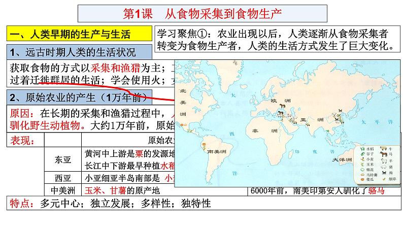 第一单元 食物生产与社会生活 复习课件04