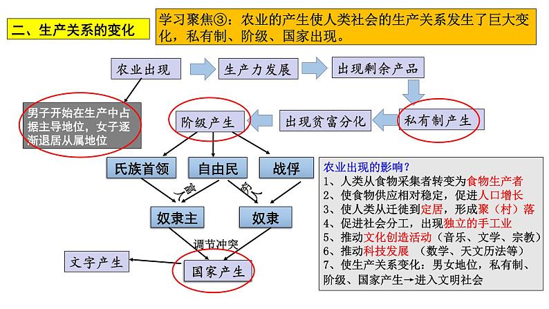 第一单元 食物生产与社会生活 复习课件06