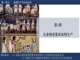 第1课 从食物采集到食物生产课件---2021-2022学年高中历史统编版（2019）选择性必修二