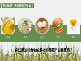 第1课 从食物采集到食物生产课件--2022-2023学年高中历史统编版（2019）选择性必修二