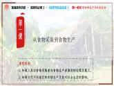 第1课 从食物采集到食物生产课件--2022-2023学年高中历史统编版（2019）选择性必修二
