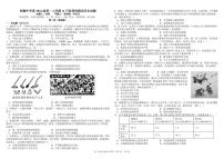 2023四川省树德中学高一上学期11月阶段性测试历史pdf版含答案（可编辑）