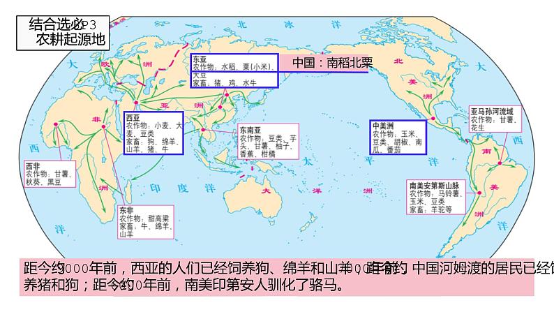 纲要下第1单元 复习课件第5页