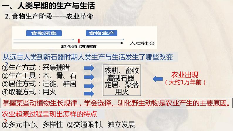 第一单元 食物生产与社会生活复习课件--2022-2023学年高中历史统编版（2019）选择性必修二04