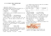 辽宁省葫芦岛市四校2022-2023学年高三历史上学期期中联考试题（Word版附答案）