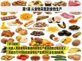 第1课 从食物采集到食物生产课件--2022-2023学年高中历史统编版（2019）选择性必修2