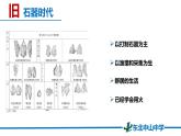 第1课 中华文明的起源与早期国家 课件