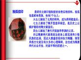 第6课 从隋唐盛世到五代十国 课件