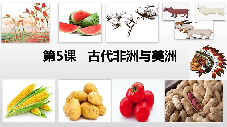 第5课 古代非洲与美洲 课件第1页