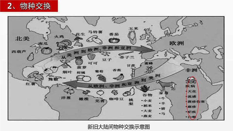 第7课 全球联系的初步建立与世界格局的演变 课件第8页