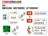 课件：必修上 辽宋夏金元的经济与社会