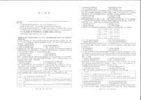 2023河南省名校高二上学期11月联考历史试题PDF版含答案