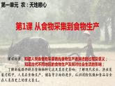 2022-2023学年统编版（2019）高中历史选择性必修2 第1课  从食物采集到食物生产 课件