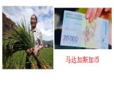 2022-2023学年高中历史统编版（2019）选择性必修二第2课 新航路开辟后的食物物种交流 课件