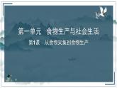 第1课 从食物采集到食物生产课件--2022-2023学年高中历史统编版（2019）选择性必修二