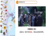 第2课 新航路开辟后的食物物种交流  课件--2022-2023学年高中历史统编版（2019）选择性必修二
