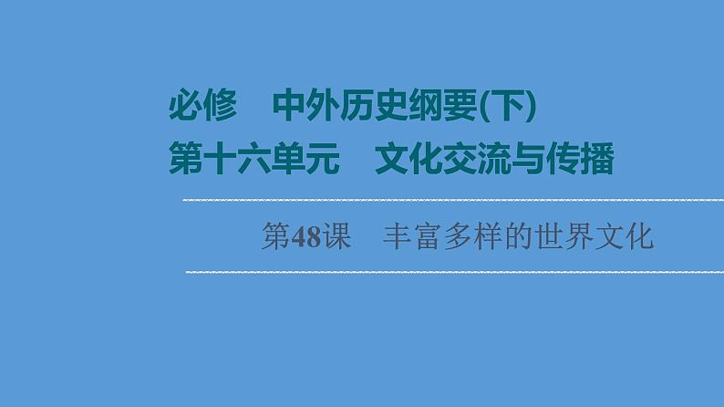 高中历史第48课 丰富多样的世界文化 课件 练习题第1页