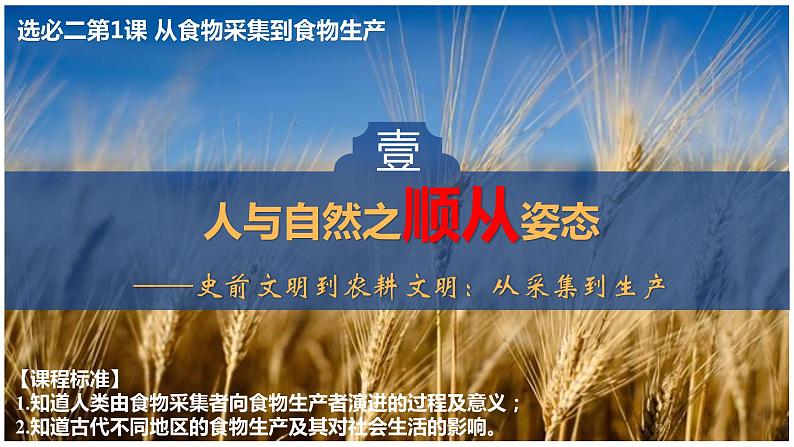 第1课 从食物采集到食物生产课件PPT03
