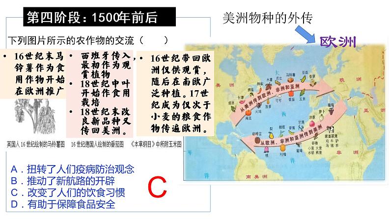 第2课  新航路开辟后的食物物种交流课件PPT04