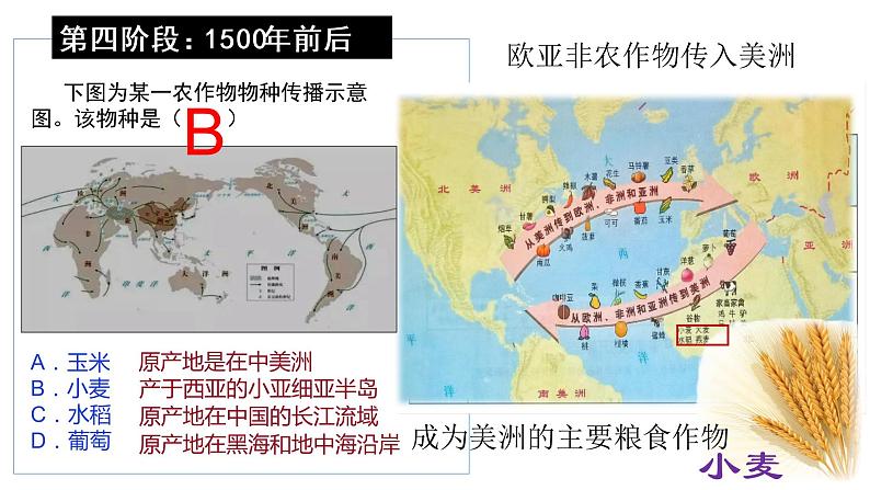 第2课  新航路开辟后的食物物种交流课件PPT07