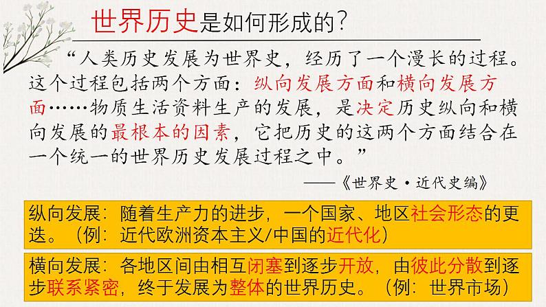 高中历史专题10  新航路开辟（统编版）课件PPT第5页