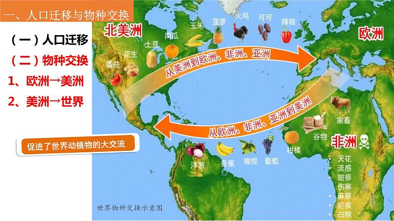 2021-2022学年部编版必修下册：第7课 全球联系的初步建立与世界格局的演变（课件）第5页