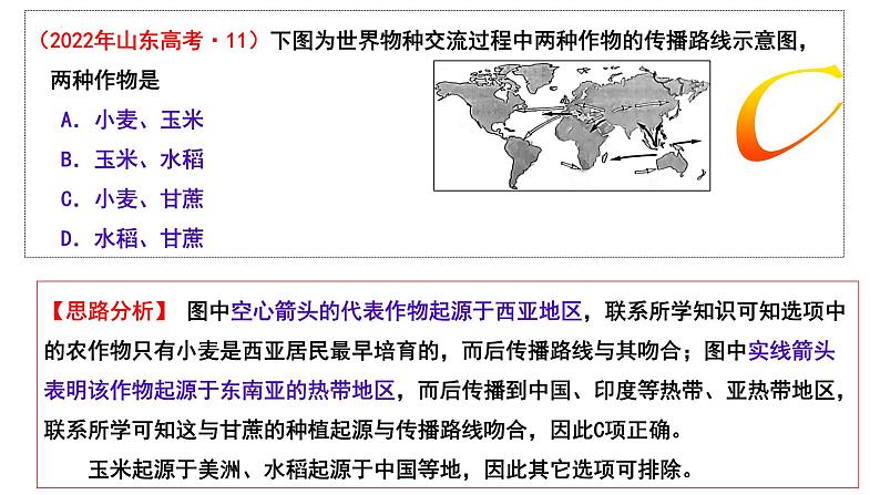 第3课 古代西亚、非洲文化 课件--2022-2023学年高中历史统编版（2019）选择性必修三第4页