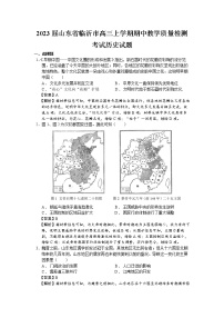 2023届山东省临沂市高三上学期期中教学质量检测考试历史试题（解析版）