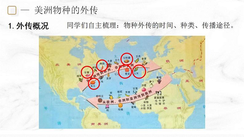第2课 新航路开辟后的食物物种交流  课件—2022-2023学年高中历史统编版（2019）选择性必修二04