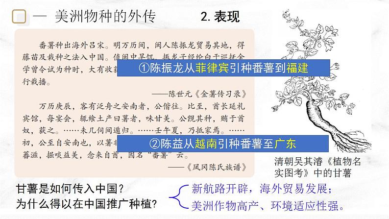 第2课 新航路开辟后的食物物种交流  课件—2022-2023学年高中历史统编版（2019）选择性必修二05