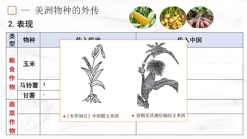 第2课 新航路开辟后的食物物种交流  课件—2022-2023学年高中历史统编版（2019）选择性必修二06