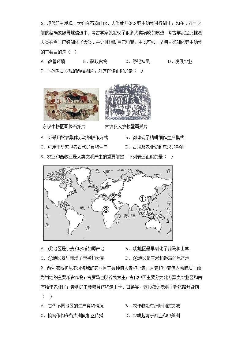 第1课 从食物采集到食物生产 测试卷--2022-2023学年高中历史统编版（2019）选择性必修202
