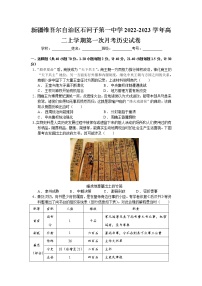 2022-2023学年新疆维吾尔自治区石河子第一中学高二上学期第一次月考历史试题 解析版